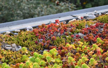 the cost of Dalriach green roof installation