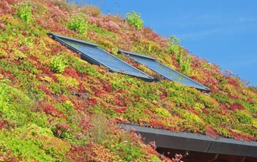 Dalriach living roof systems